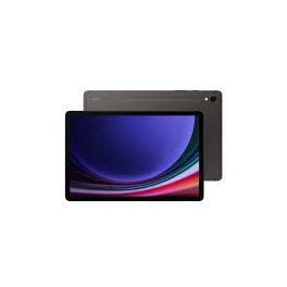 Samsung TAB S9 (256 GB) WIFI